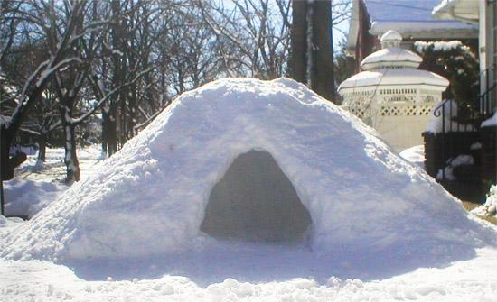 Igloo - February 2010