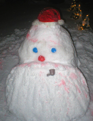 Snowman 2008 Santa